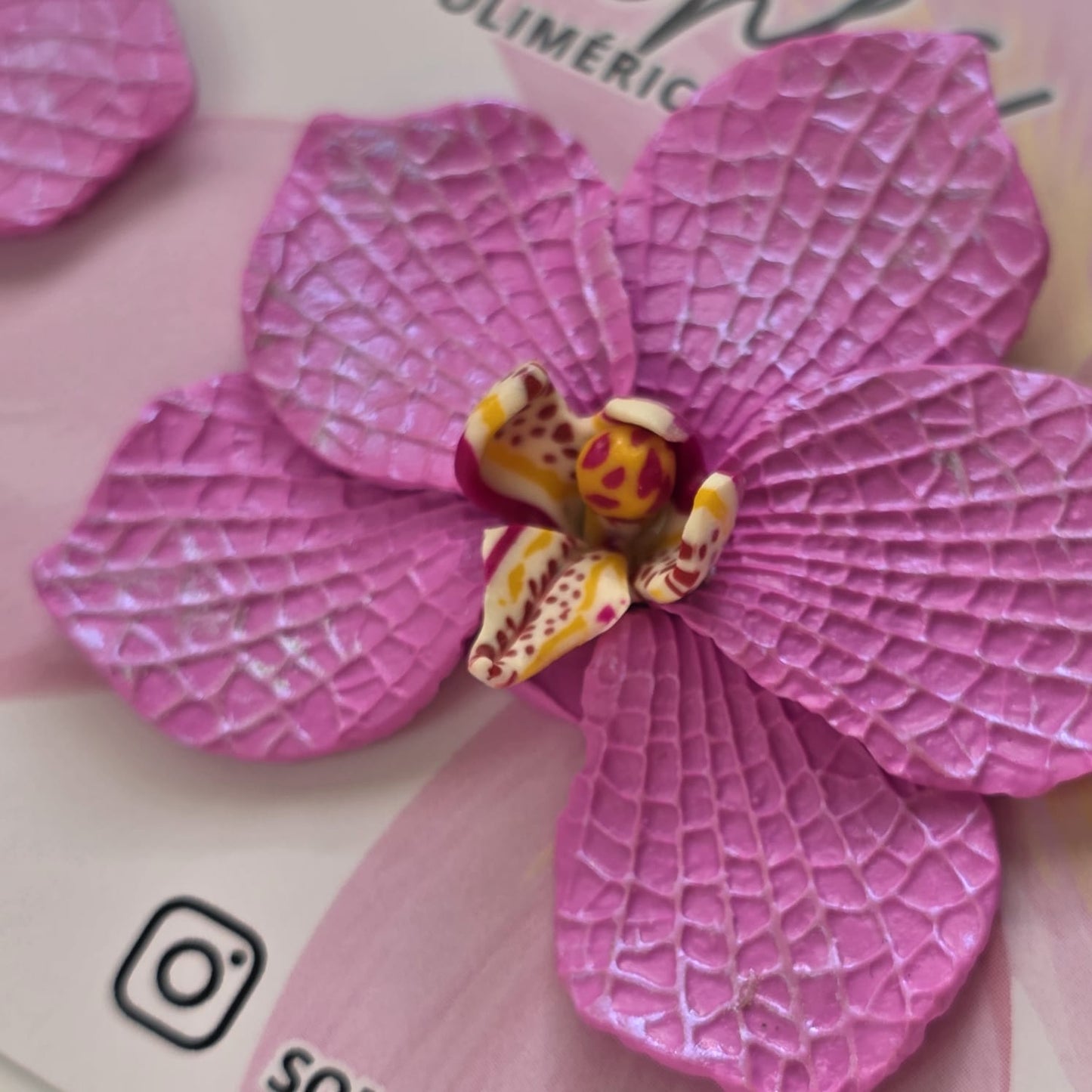 Orquídea rosa tornasol - L
