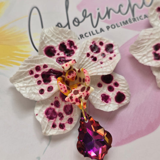Orquídea pintas