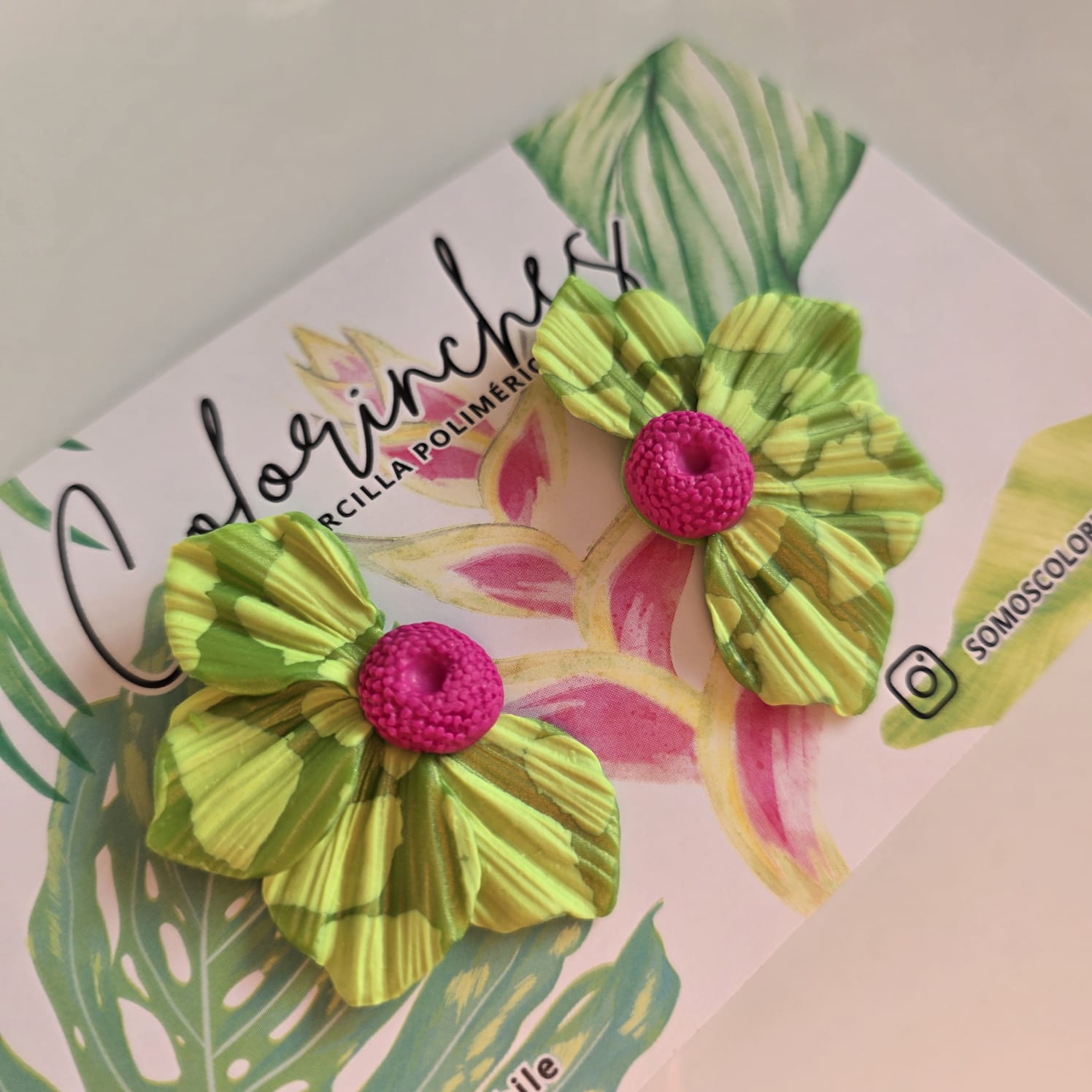 Aros Floripondia L – Colorinches