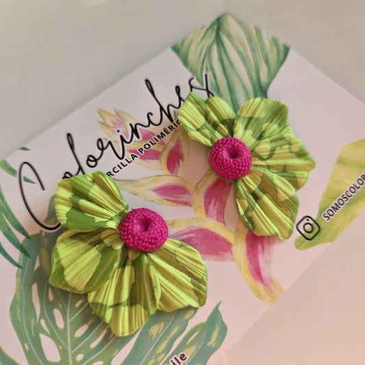 Floripondia L - Verde/Fucsia