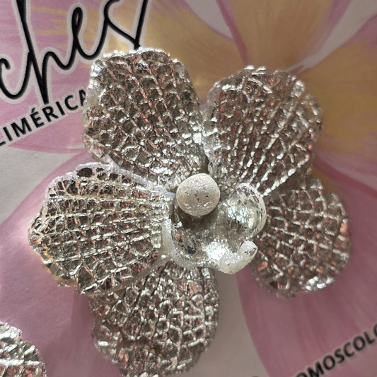 Orquídea Silver