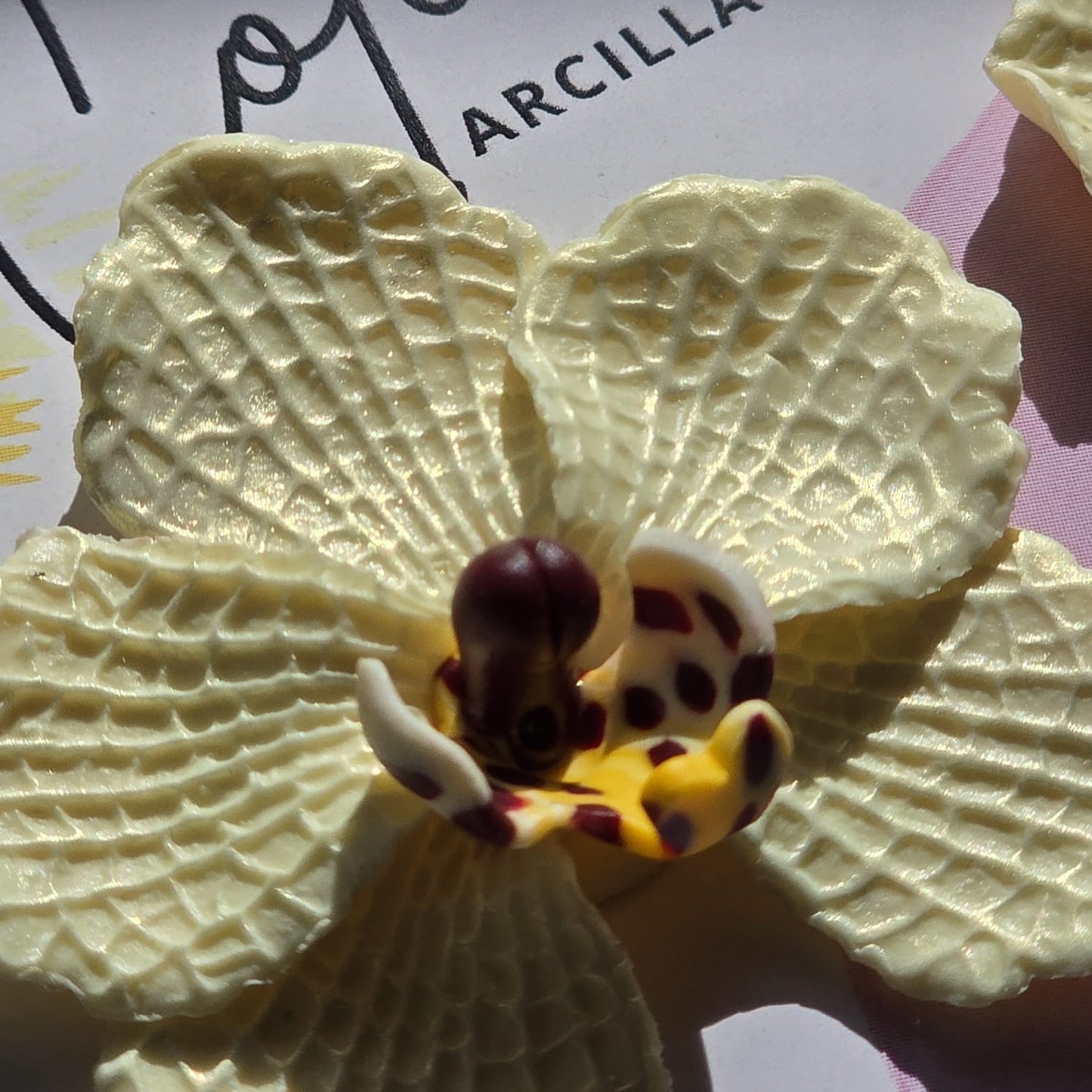 Orquídea vainilla
