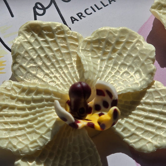 Orquídea vainilla