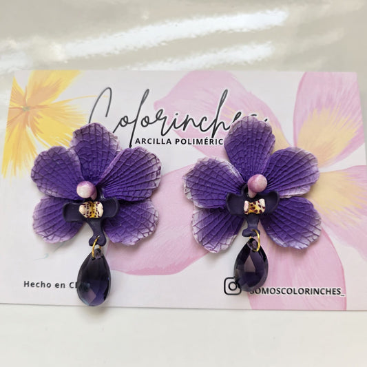 Orquídea Violeta