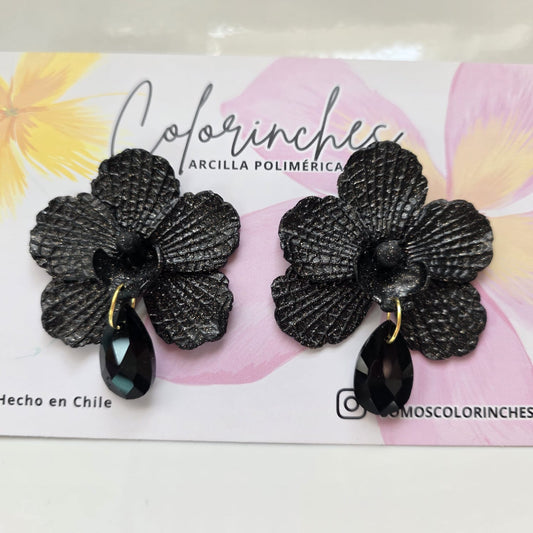 Orquídeas Black & Black