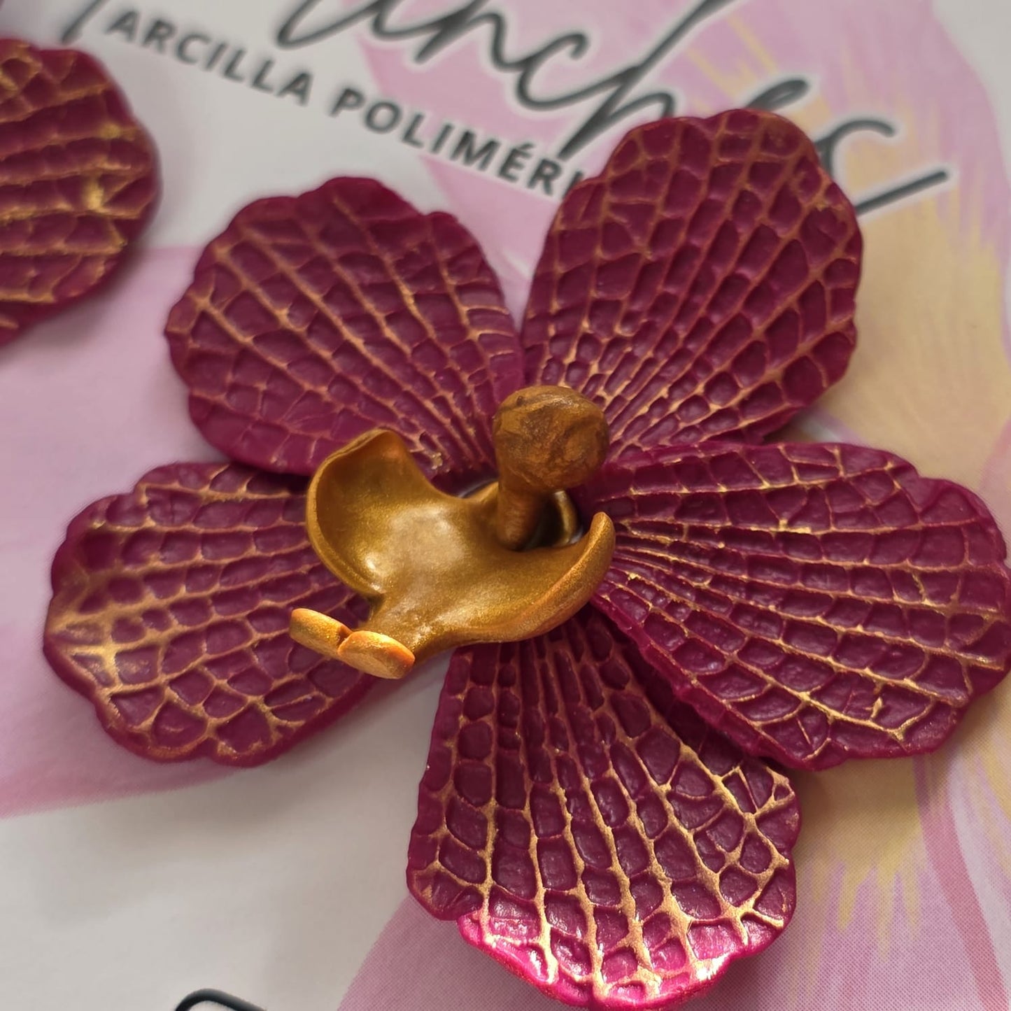 Orquídea burdeo dorada