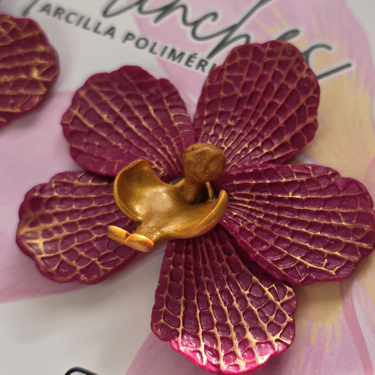 Orquídea burdeo dorada
