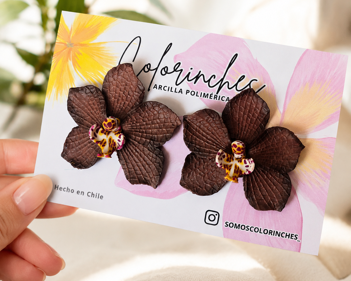 Orquídea chocolate