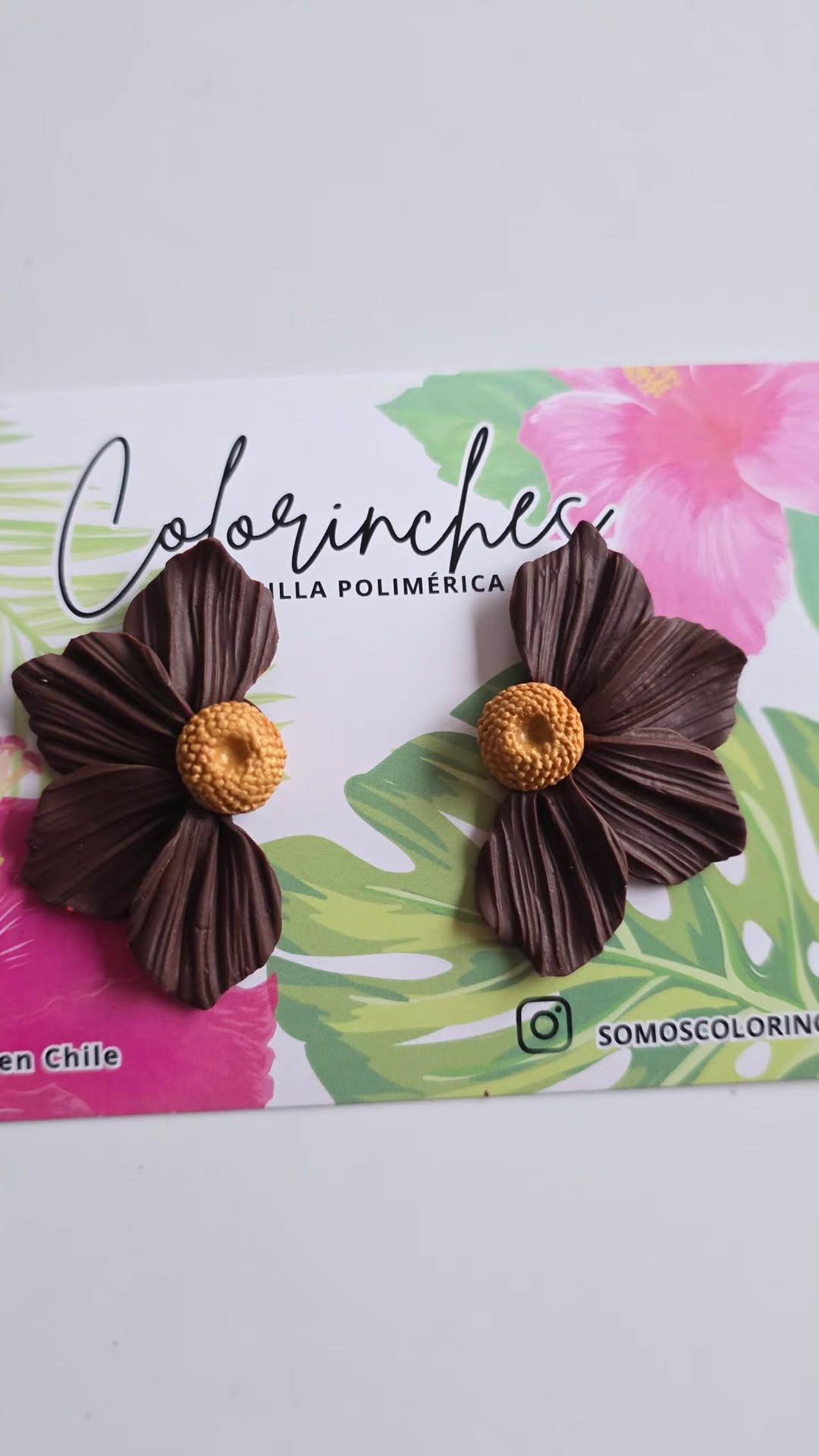 Floripondia M chocolate